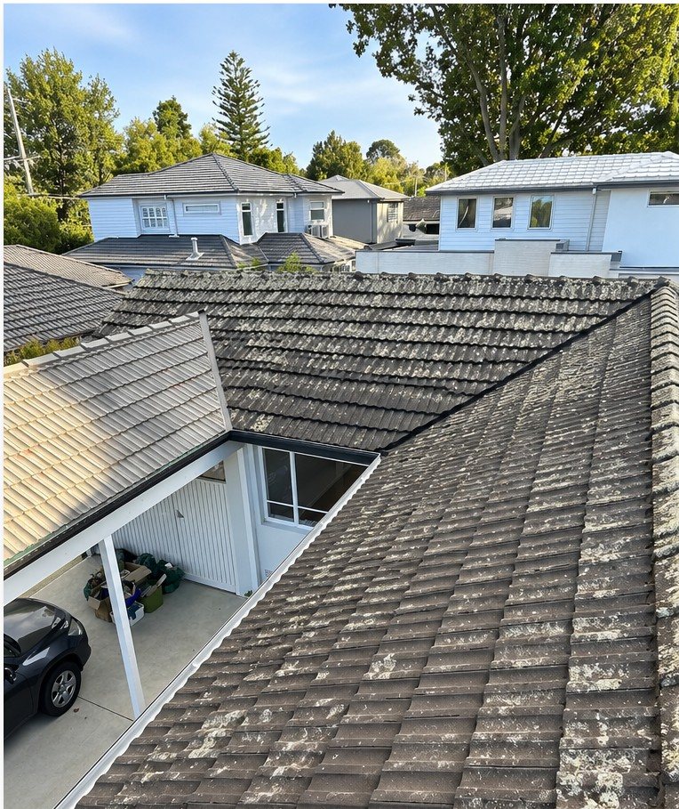 Tiled roof covered in lichen and grime, before cleaning